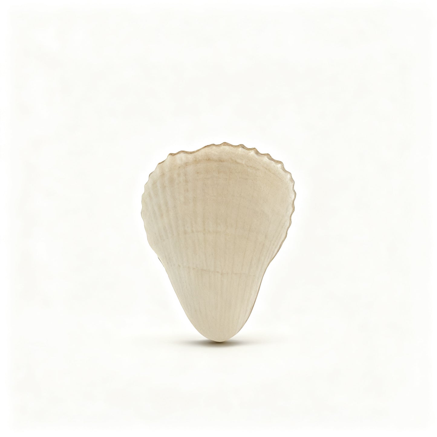 Cute Pink Shell Stand Phone Case for iPhone